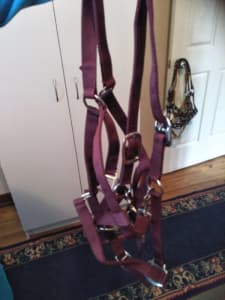 Horse gear Halters Brand New Pony size only 