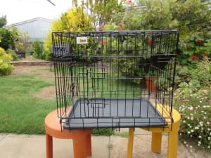 Fold Down Pet Cage