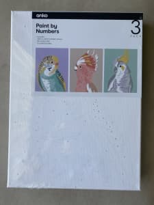 Paint by Numbers 3 Canvas Set