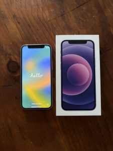 iPhone 12 mini purple