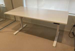 Large Power Adjustable Sit/Stand Desk
