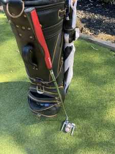 Golf Bag and Clubs - Starter Set