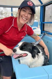 Mobile Dog Grooming/Hydrobath services