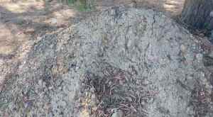 Free Clean Fill - Clay Soil