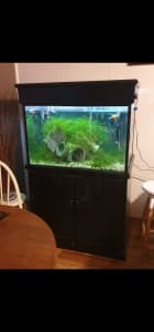 Deep Fish Tank Aquarium 