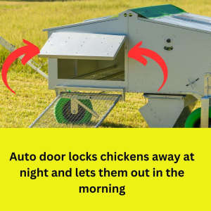 Chicken Caravan 30 Automatic Chicken House. Hunter Valley (Tocal)