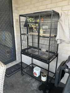 Large bird cage and 2 cockatiels