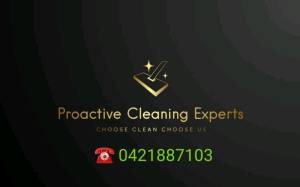 Proactive Cleaning Services 