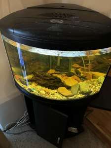 Corner fish tank ufo-550 aquarium