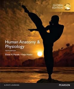 Human Anatomy & Physiology textbook- Pearson hardback great condition