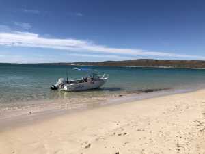 15ft Aluminium Runabout with 60hp Evinrude