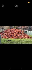 Red Gum firewood for sale