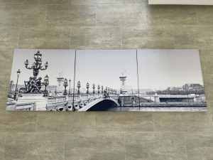 Paris bridge canvas