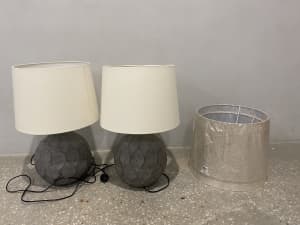 Freedom Lights with two extra lamp shades
