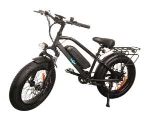500W BMX ebike electric bike with 12.8AH LG battery