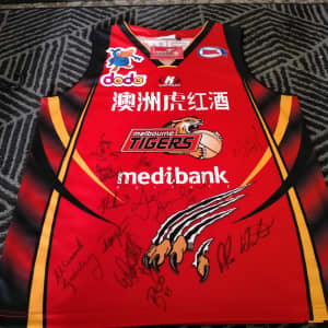 Melbourne Tigers Throwback Jersey - Andrew Gaze– Official NBL Store