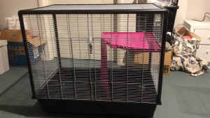 Collapsable Rat Cage - Free