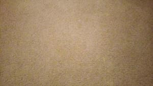 10 x 15 ft and 8 x 10 ft carpets for sale