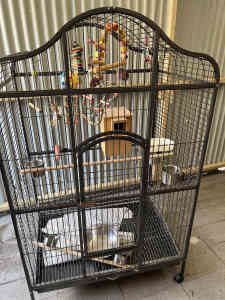 Big parrot/bird cage