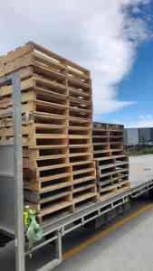 Wanted: We Buy Standard Pallets 1165x1165mm in Sydney