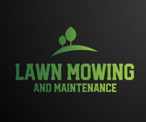 Lawn mowing and maintenance 