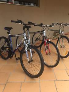 Adults Bikes. Good Working Condition
