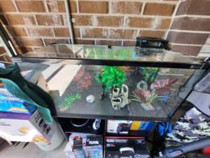Fish Tank and accessories.