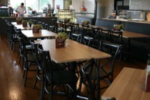 Cafe chairs Sydney by Design Choice