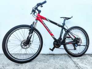 2 disc brake mountain bike for sale