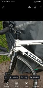 Road carbon bike Azzurri 