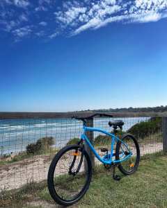Beach Cruiser Bike Blue Reid Cycles (M)