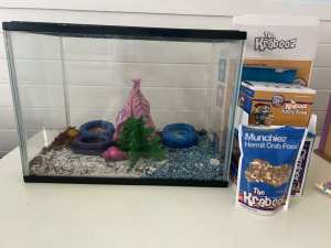 Fish Tank /Hermit Crab tank and supplies