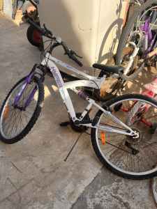 Assorted bikes, Assorted sizes and styles $5 kids $10 teens and adults
