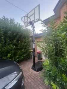 Lifetime Basketball stand, hoop and backboard