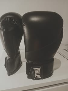 Everlast boxing gloves 16oz brand new unused