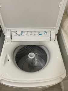 Simpson EZISet 6.0kg washing machine