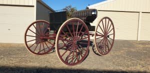horse drawn buggy in australia