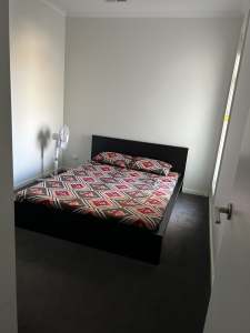 Room Available For Rent in Lightsview