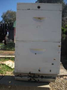 3x Established Bee Hives (16 Frames per Hive) Double Box