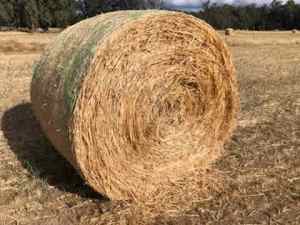 WANTED HAY OR SILAGE