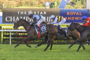 4 Members Reserve tix to The Star Championships Day 1 Randwick Races