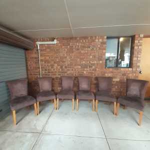 $30 for all 6 Gorgeous and Comfortable Upholstered Dining Chairs 