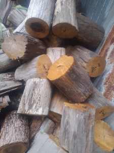 Firewood log rounds