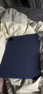 iPad Pro 11inch Blue