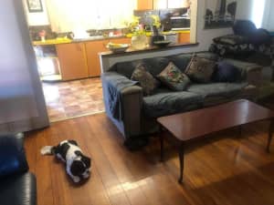 Large Furnished Bedroom in Mayfield, Newcastle $250