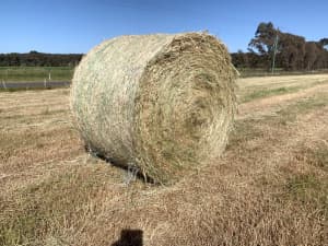 5’ x 4’ Round Grass Hay Bales