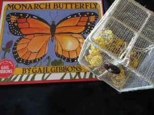 MM Monarchs Matter eBay FBMP Seeds Plants Gifts Easter Special Friends