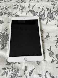 iPad mini (3rd or 4th generation)