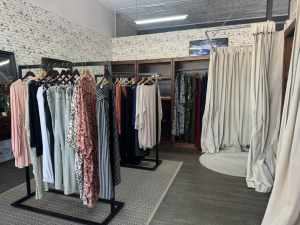 Plus Size Ladies Boutique ( plant and equipment only )