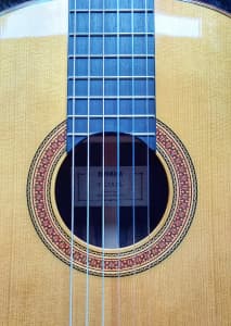 Yamaha Classical Guitar - CG182S Gator Classical Guitar Case